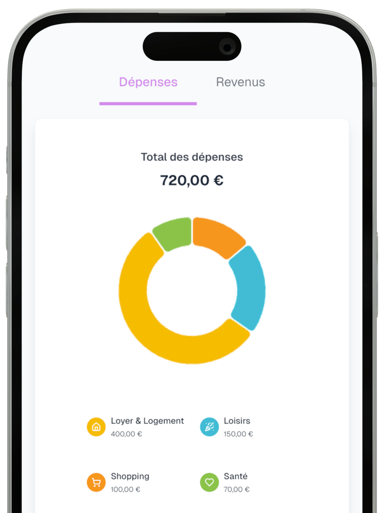 Catégorisation des dépenses sur mobile