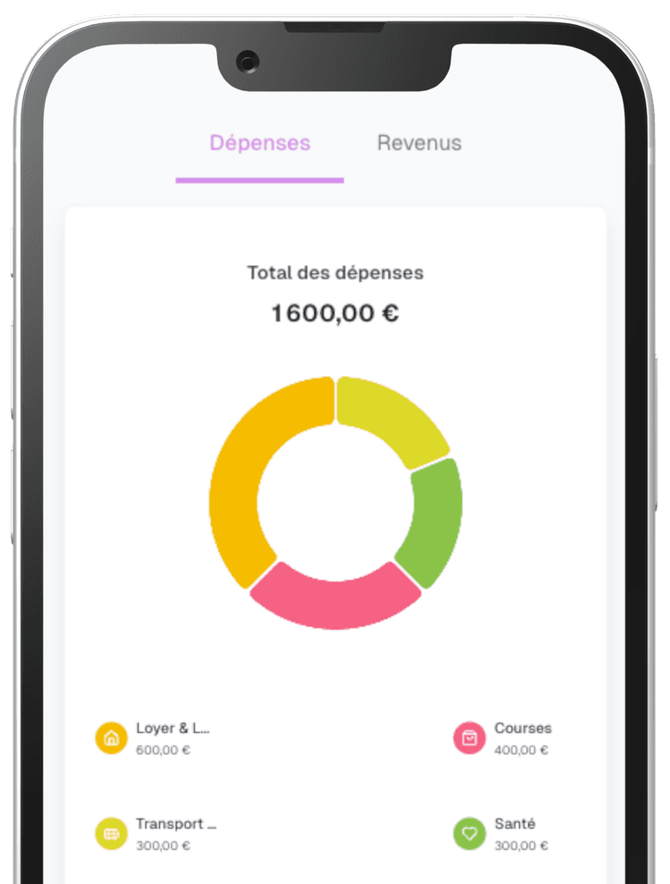 Catégorisation des dépenses sur mobile